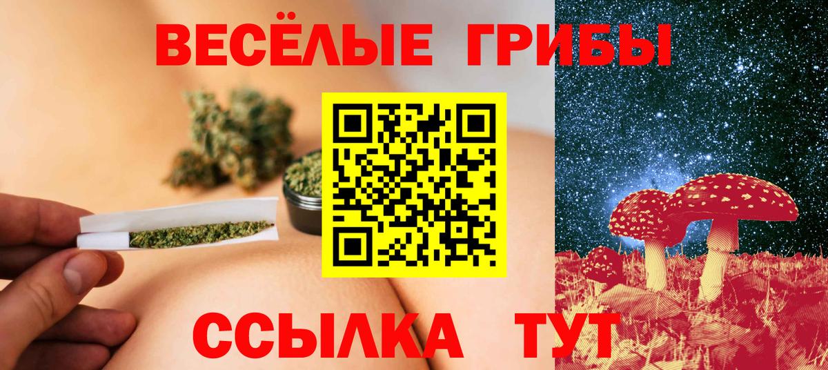 ГАШ Благодарный