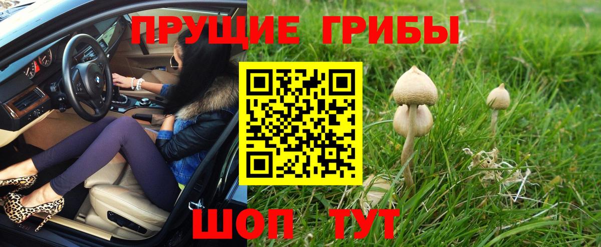 Псилоцибиновые грибы прущие грибы  Вход с VPN  Благодарный 