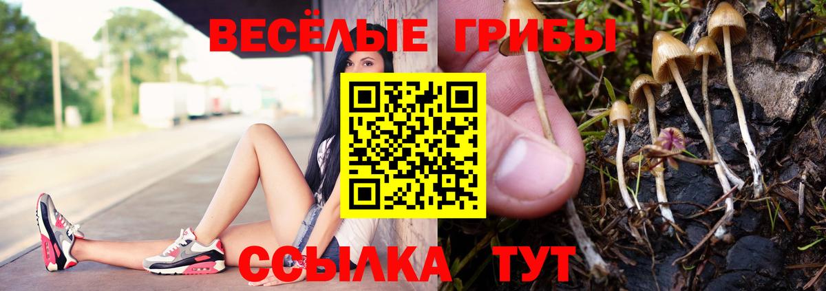 Псилоцибиновые грибы Cubensis Благодарный